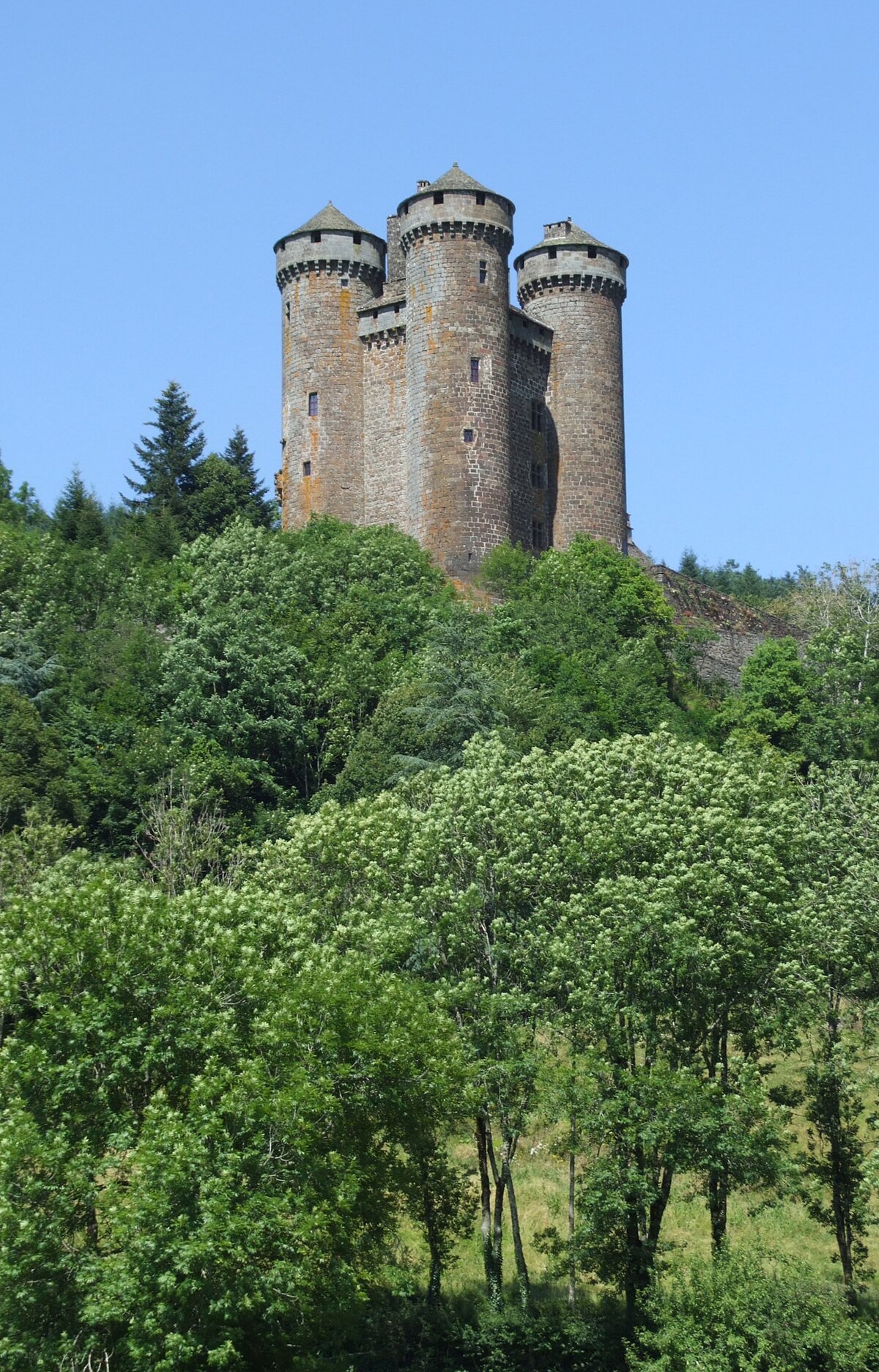 Tournemire - Chateau d'Anjony 3.jpg