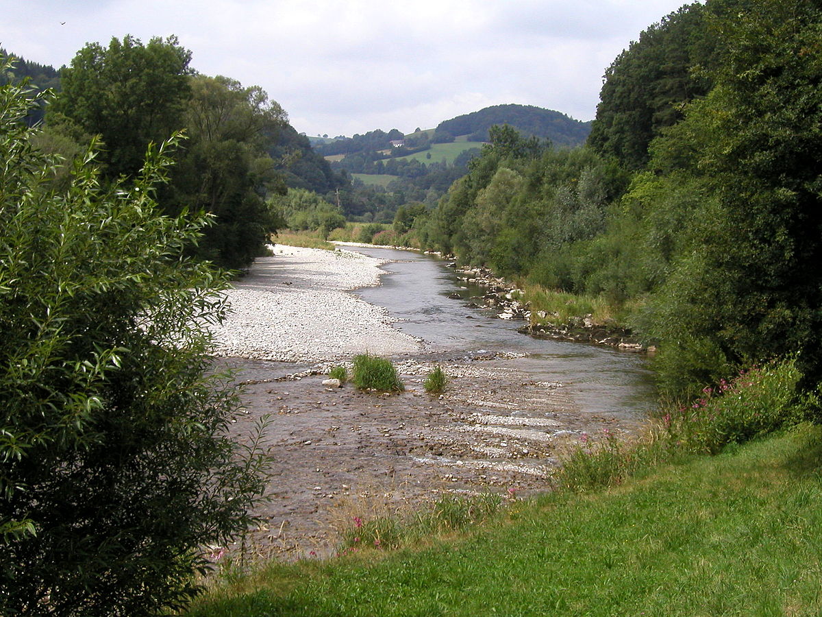 Traisen (rivière)