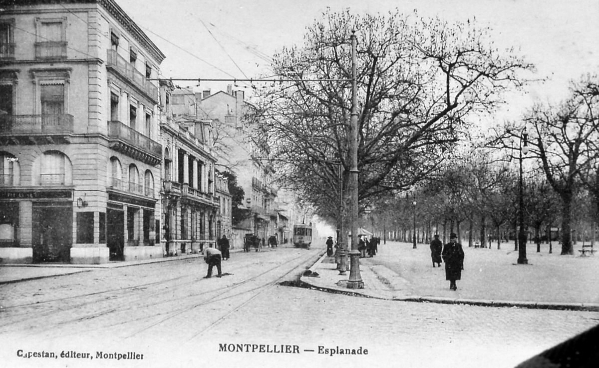 Transports en commun de Montpellier - Boulevard Sarrail - Motrice Ragheno.jpg