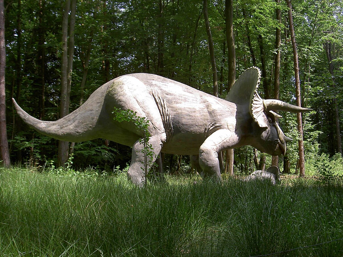 Triceratops