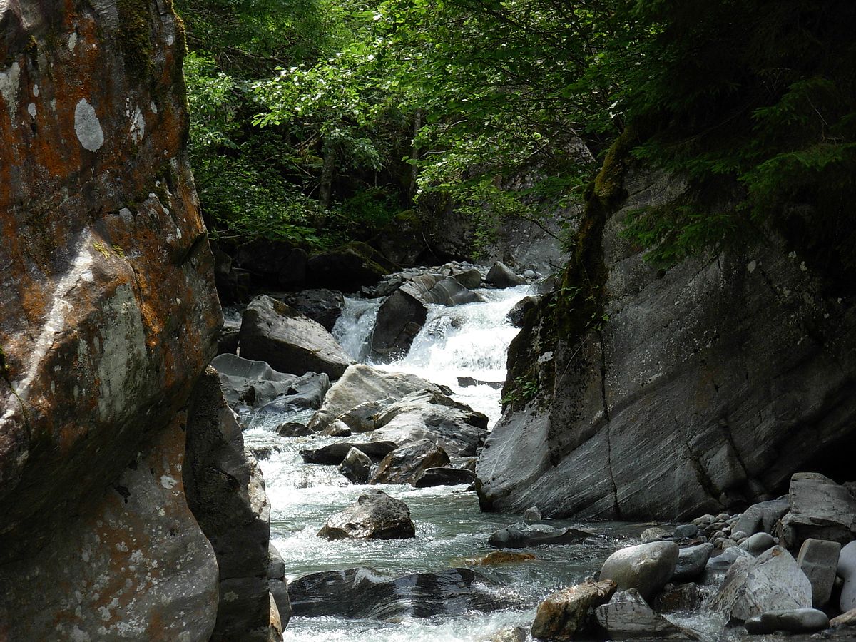 Trient (rivière)
