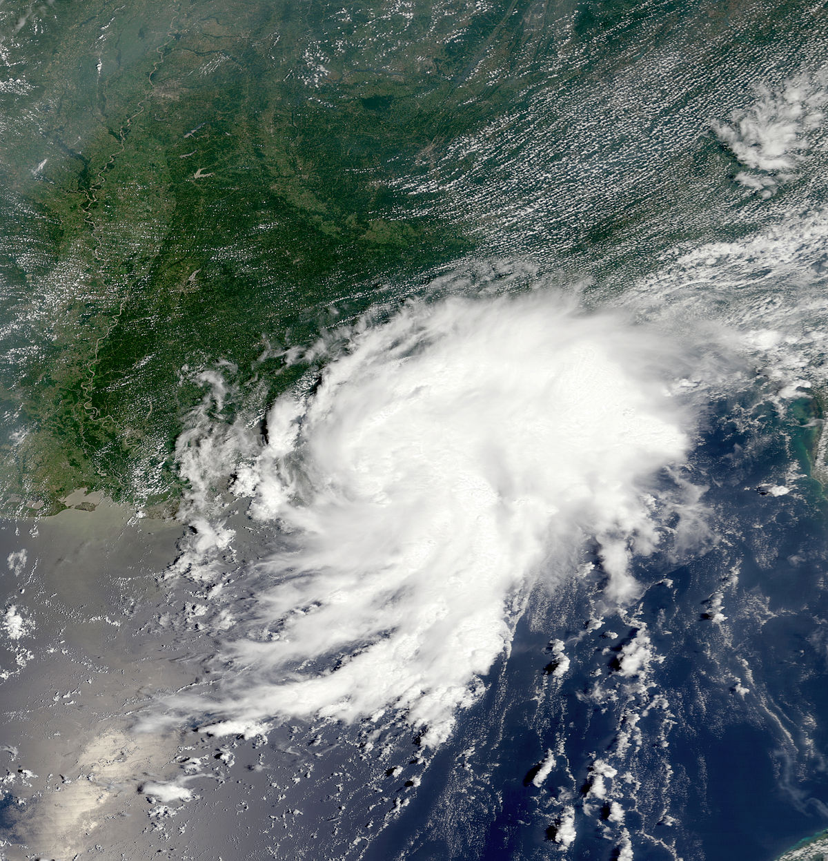 Tempête tropicale Bertha (2002)