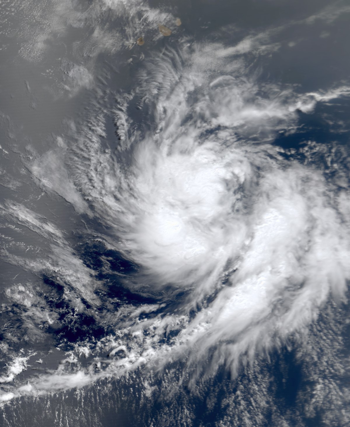 Tropical Depression Two (2000).JPG
