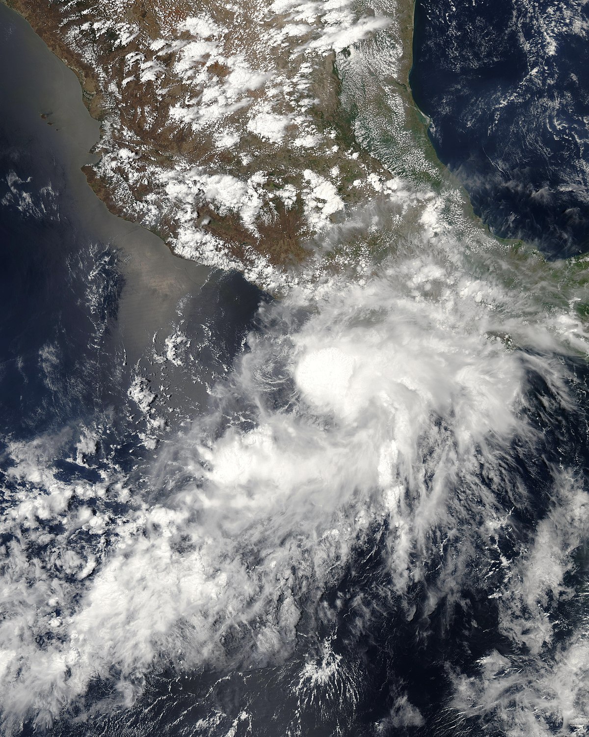 Tempête tropicale Aletta (2006)