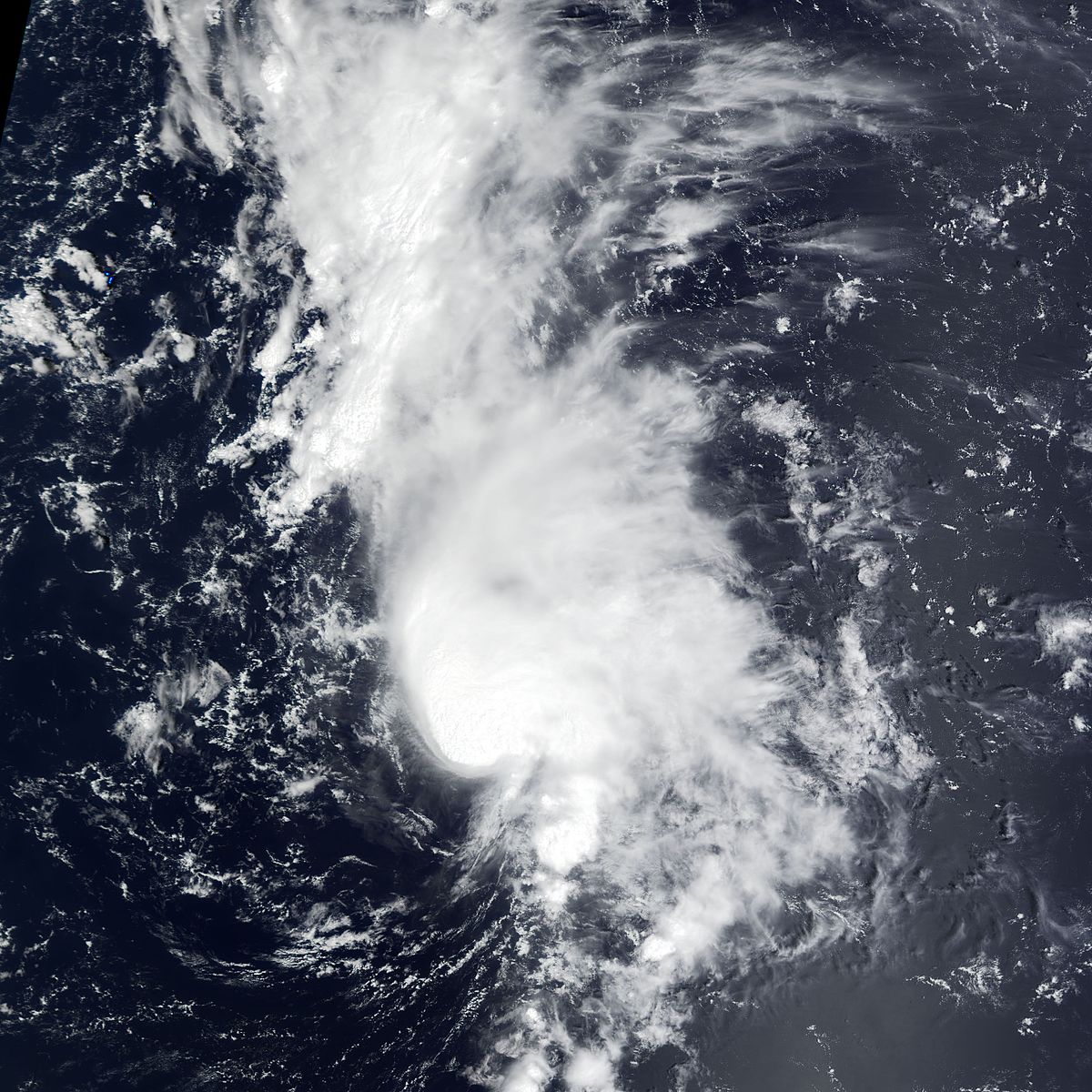 Tempête tropicale Dolly (2002)