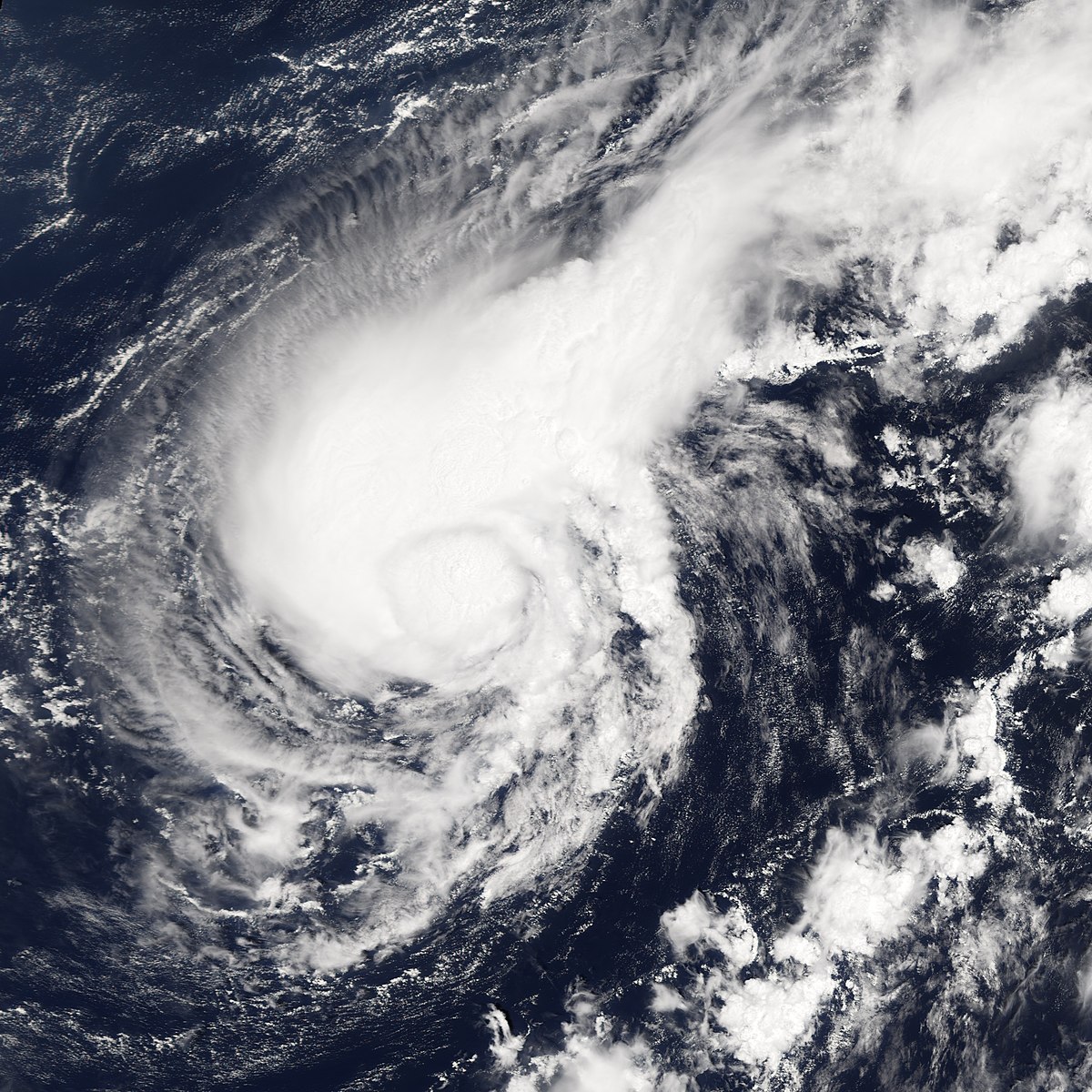 Tempête tropicale Harvey (2005)