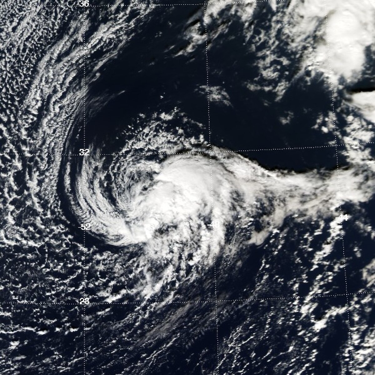 Tempête tropicale Otto (2004)