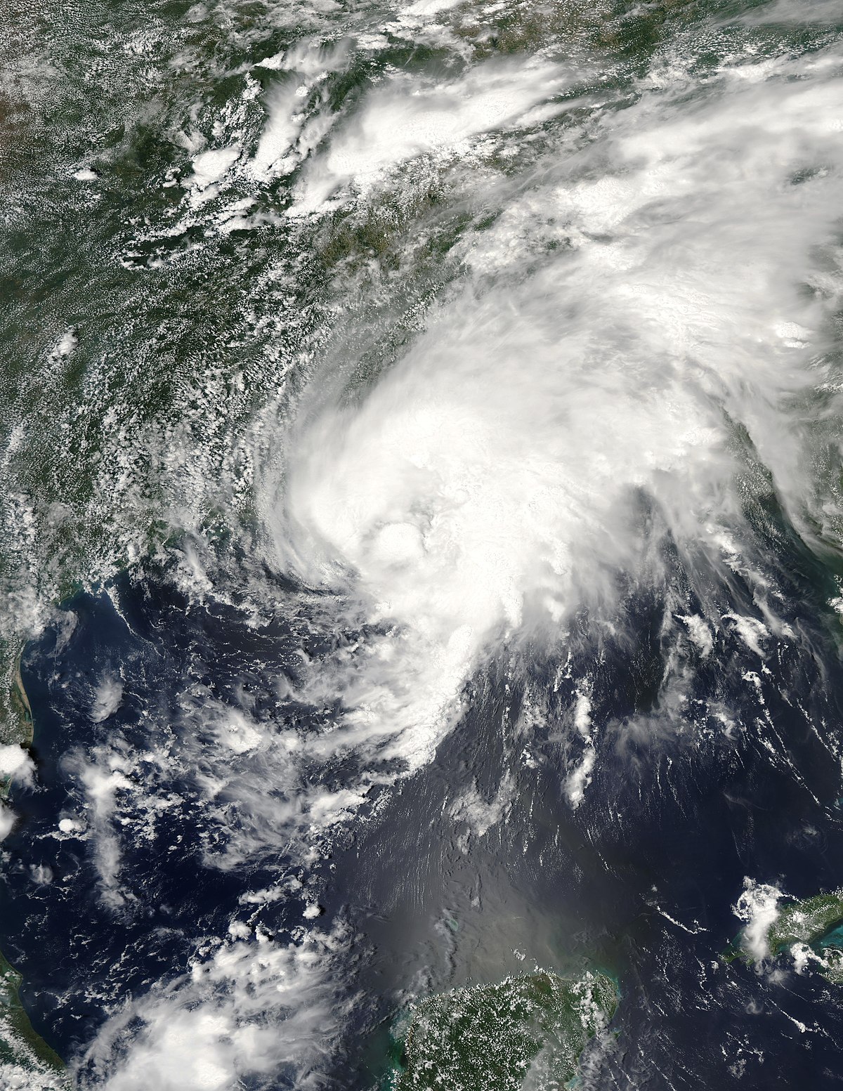 Tempête tropicale Bill (2003)