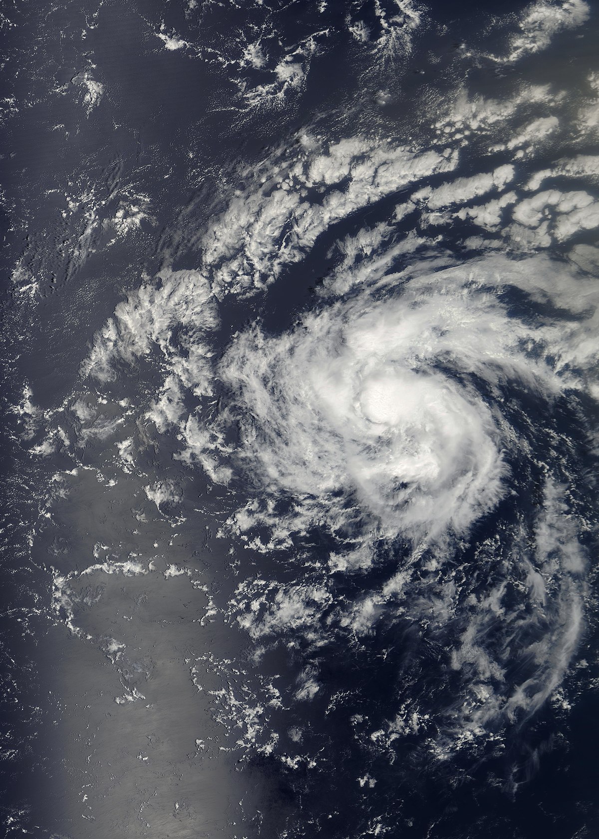 Tempête tropicale Debby (2006)