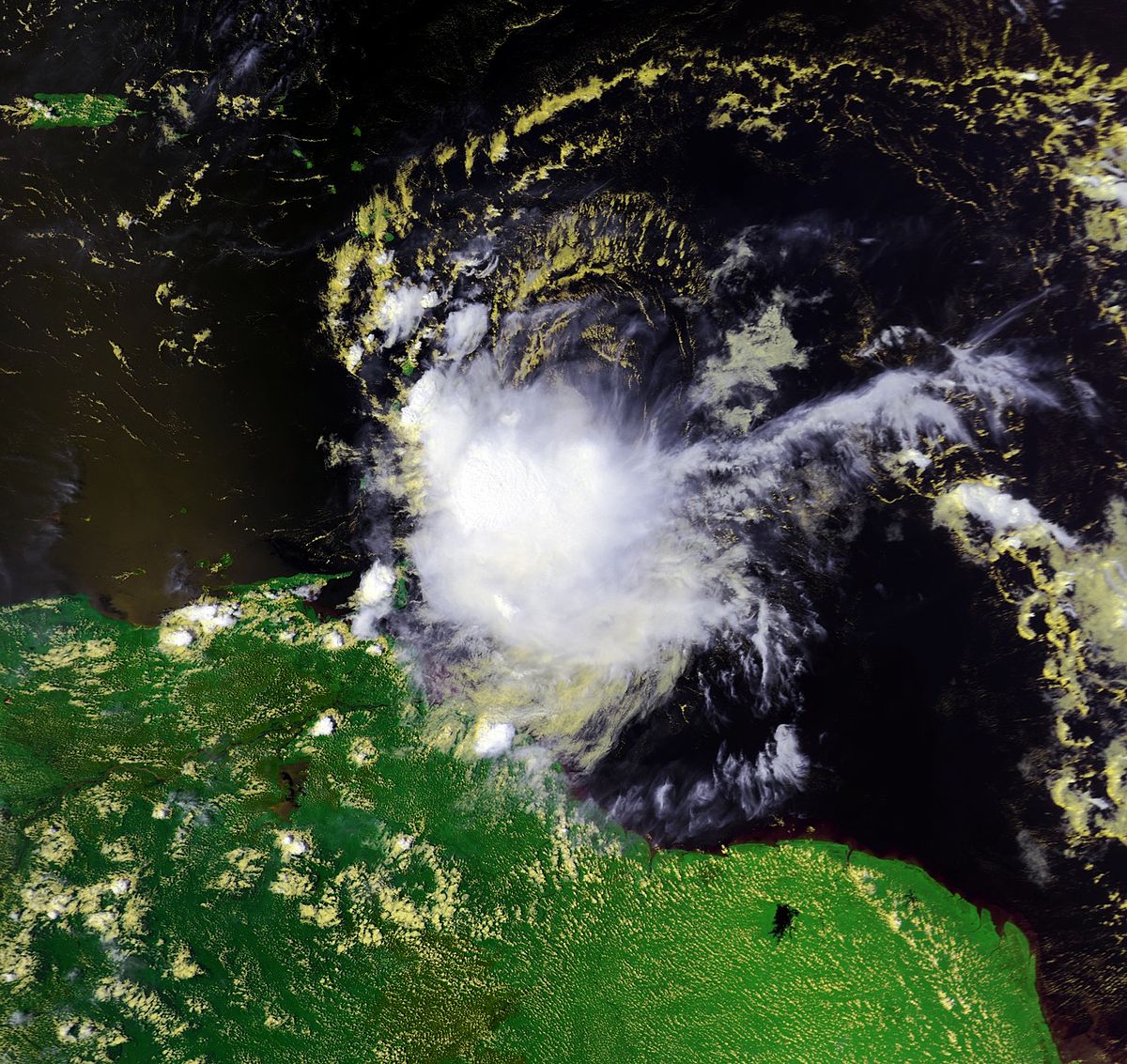 Tempête tropicale Jerry (2001)