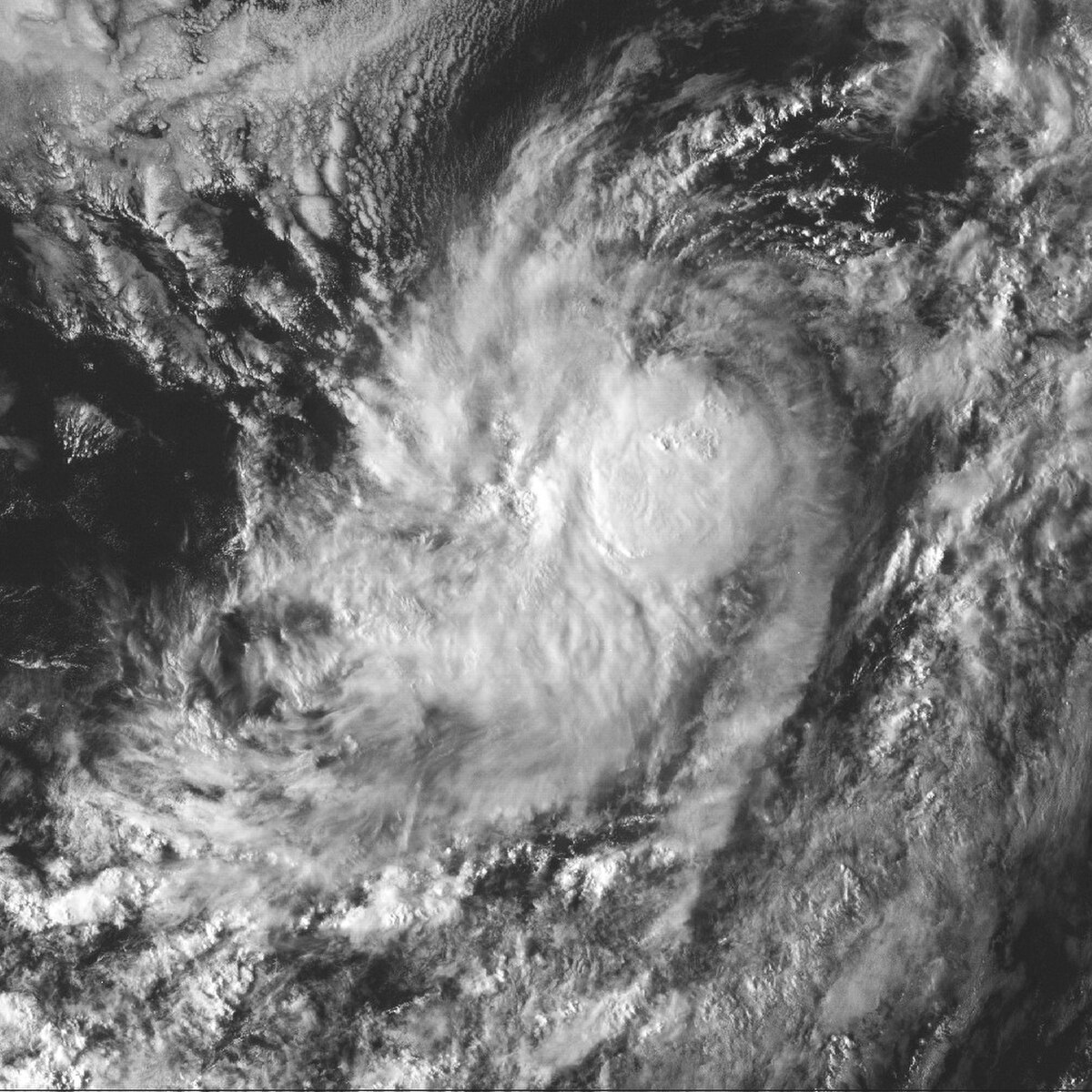 Tempête tropicale Miriam (2006)