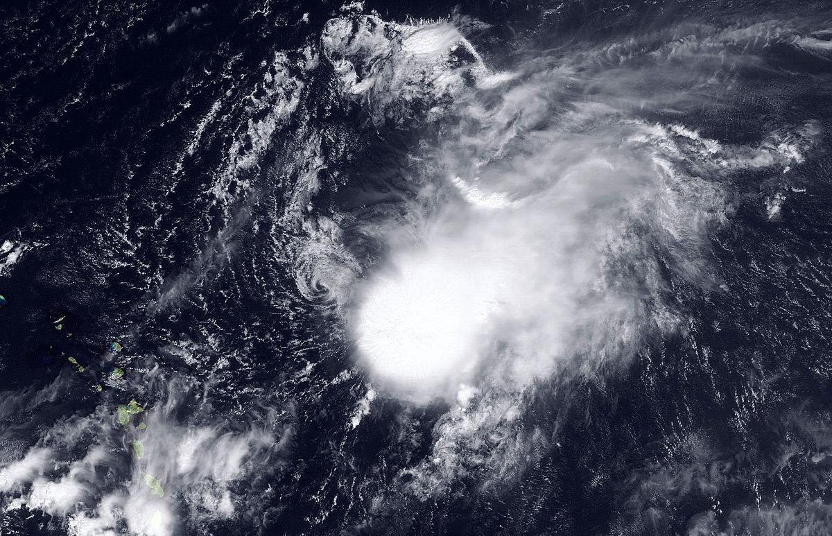 Tempête tropicale Henri (2009)