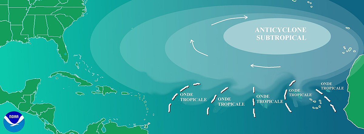 Onde tropicale