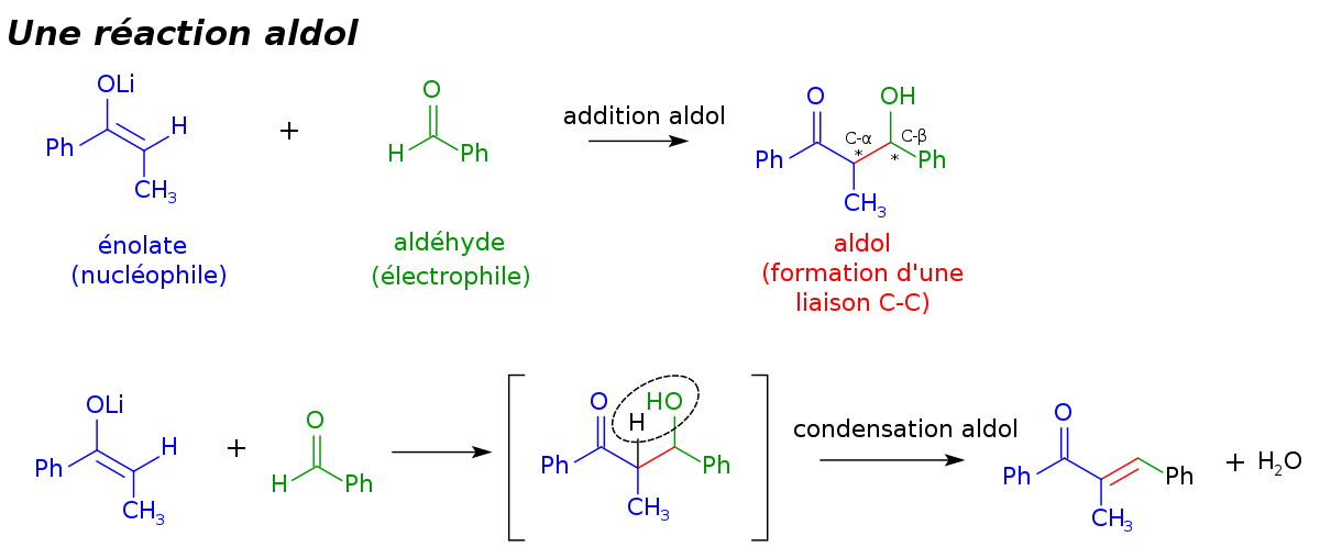 Exemples d'une addition et d'une condensation aldols