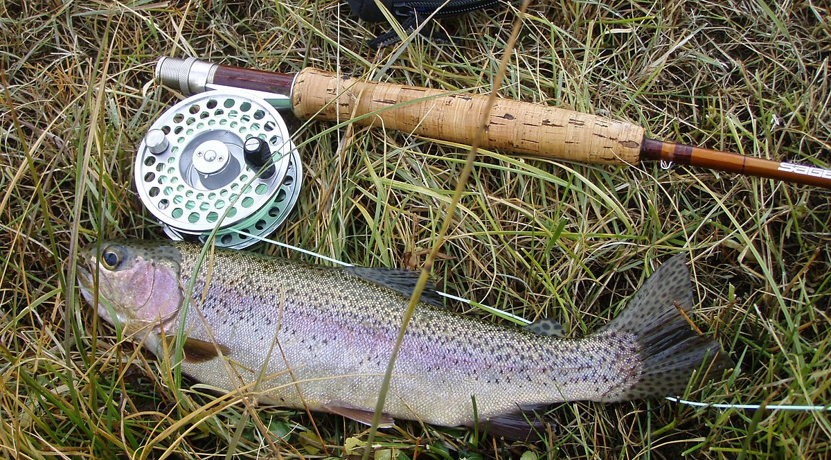 TypicalFireholeRiverRainbow.jpg