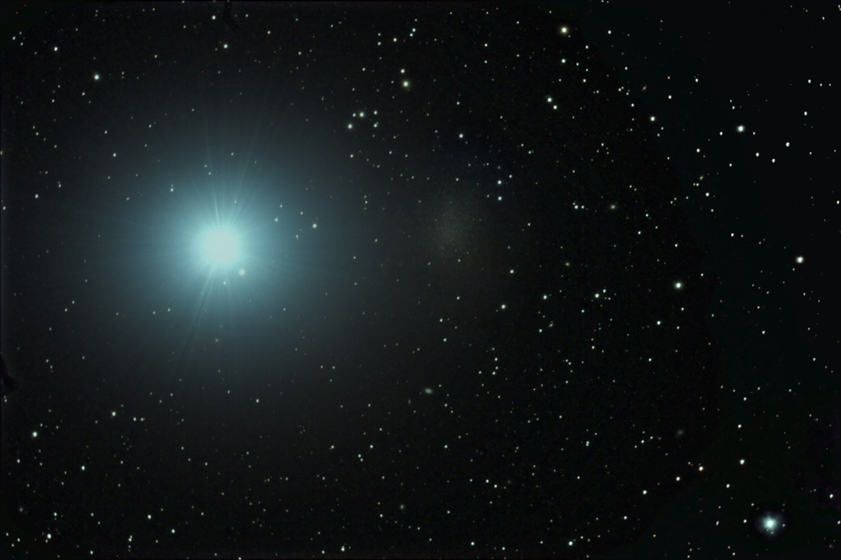 Leo I