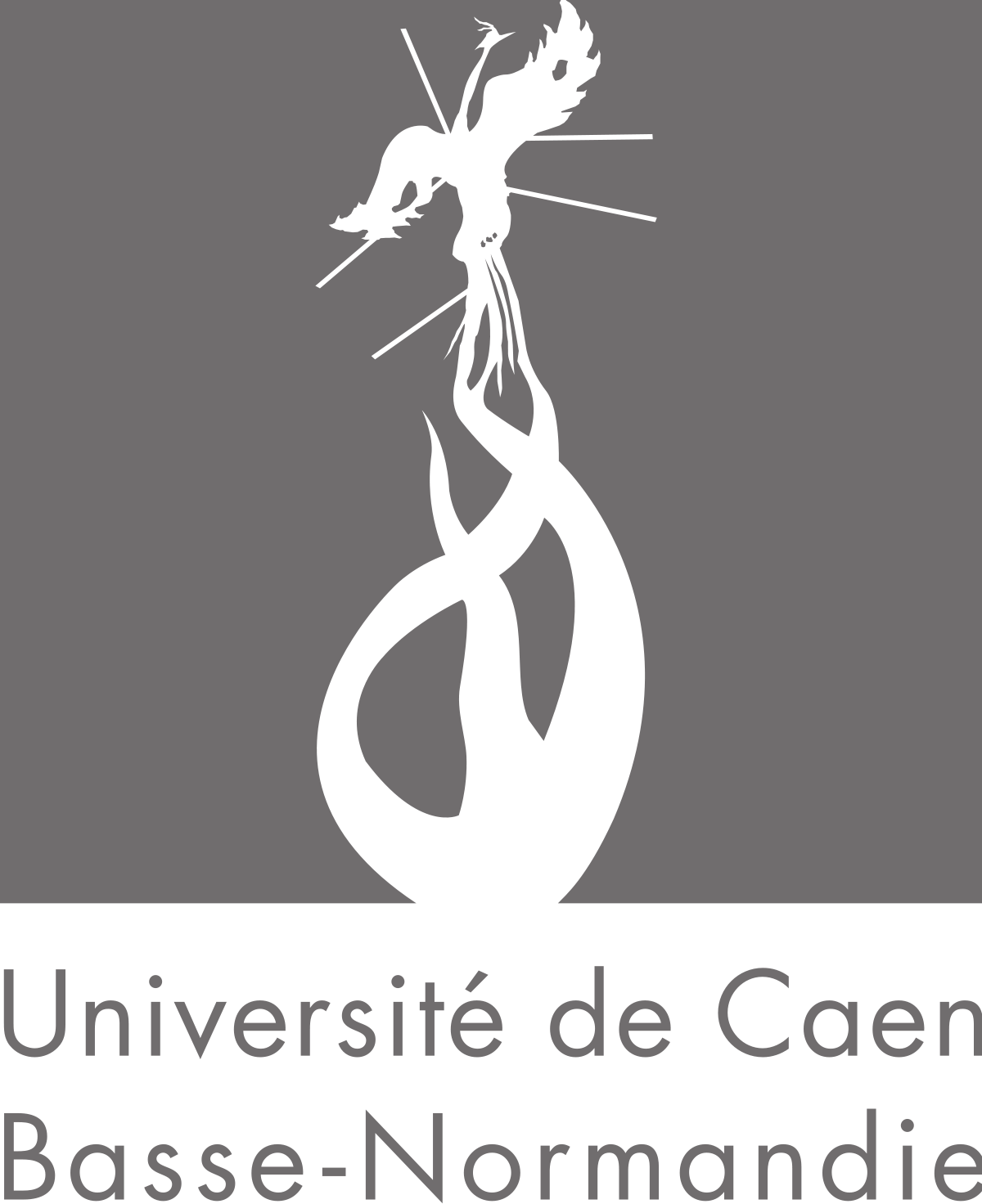Université de Caen Basse-Normandie