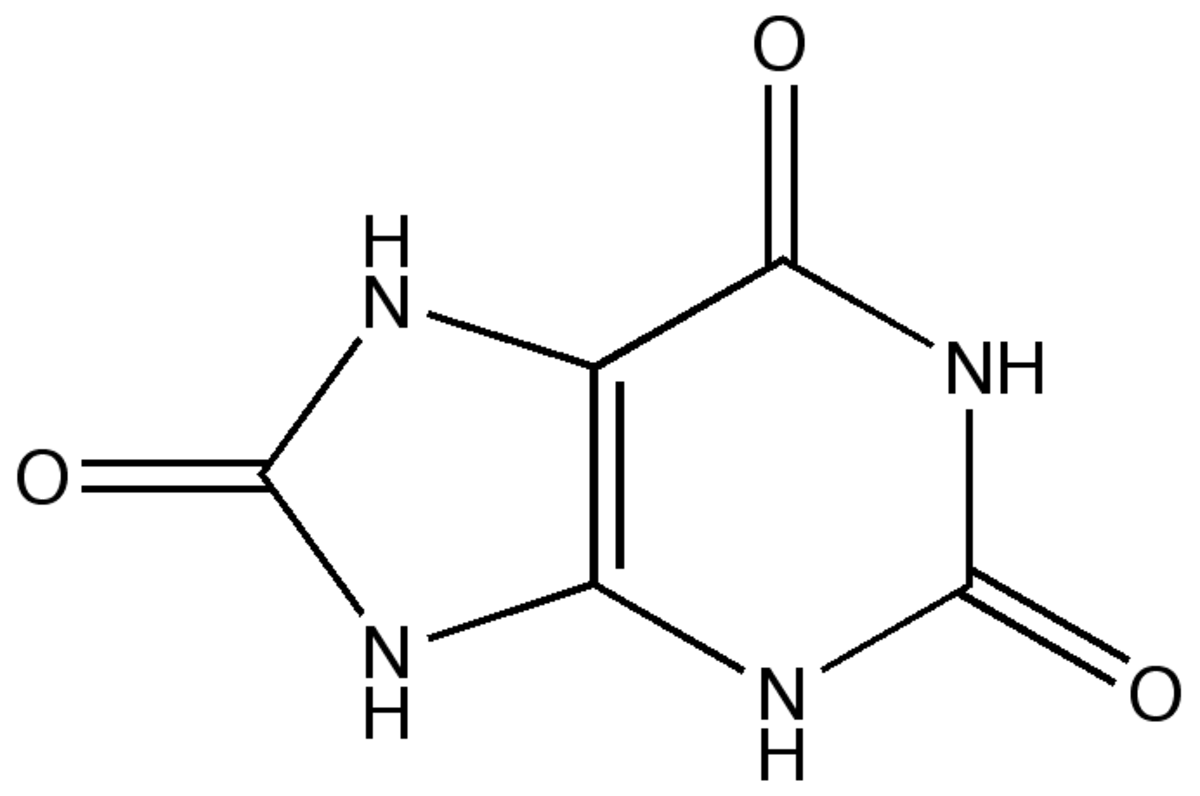 Acide urique