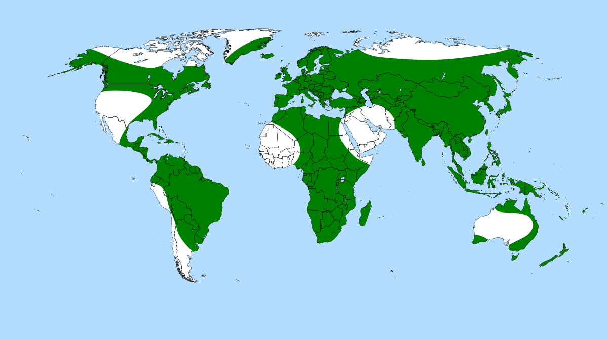 Utricularia distribution.svg