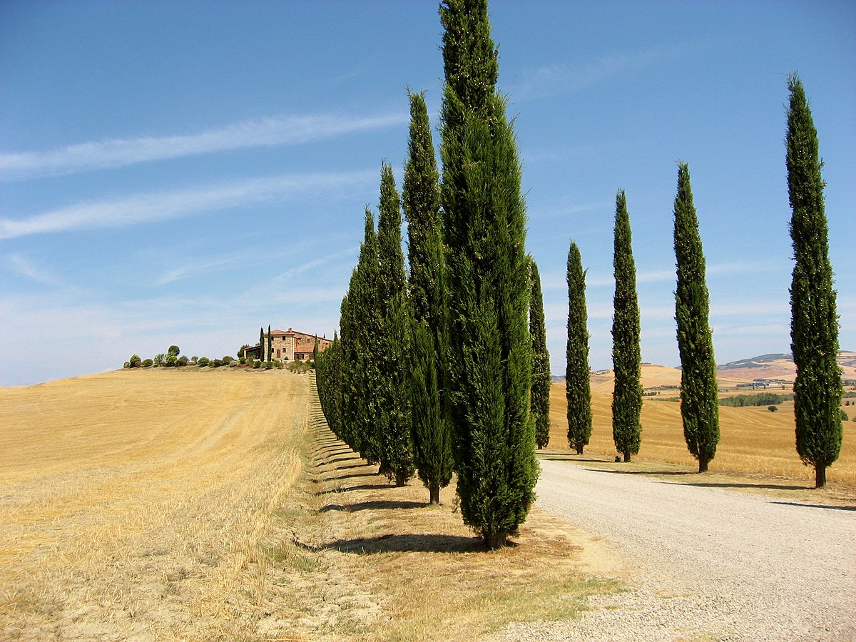 Val d'Orcia