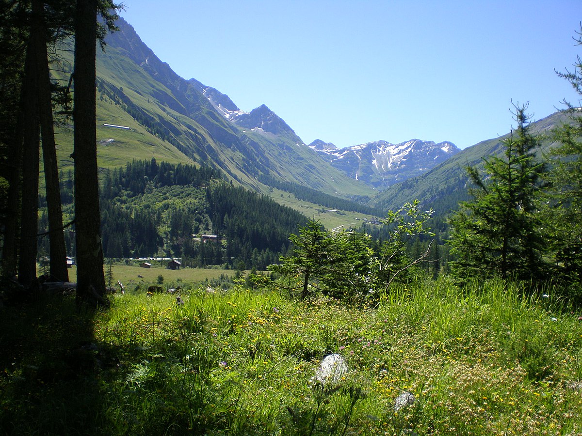 Val Ferret (Suisse)
