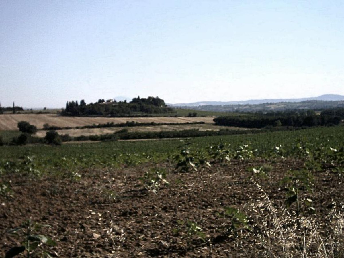Val di Chiana