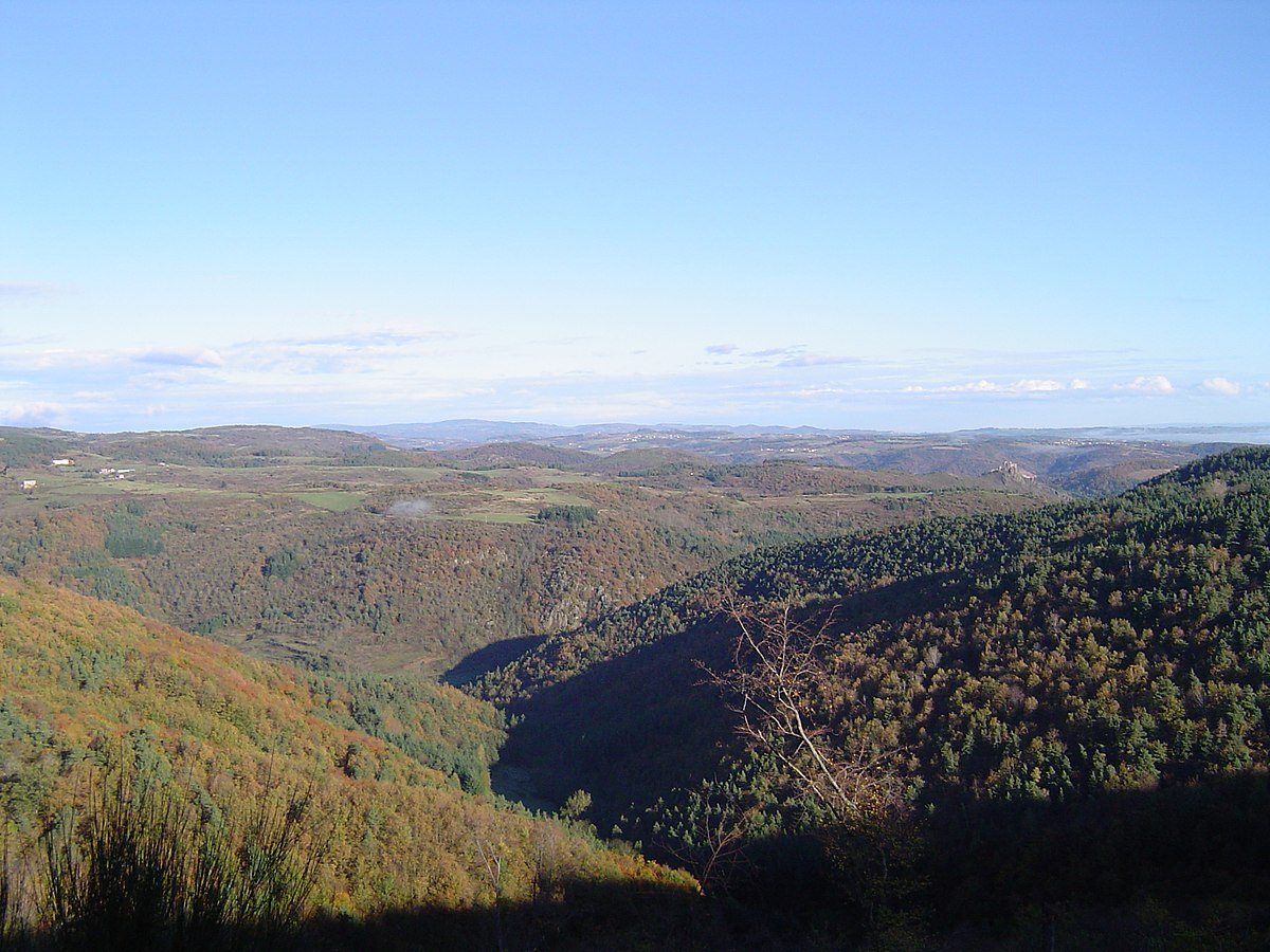 Lignon du Forez