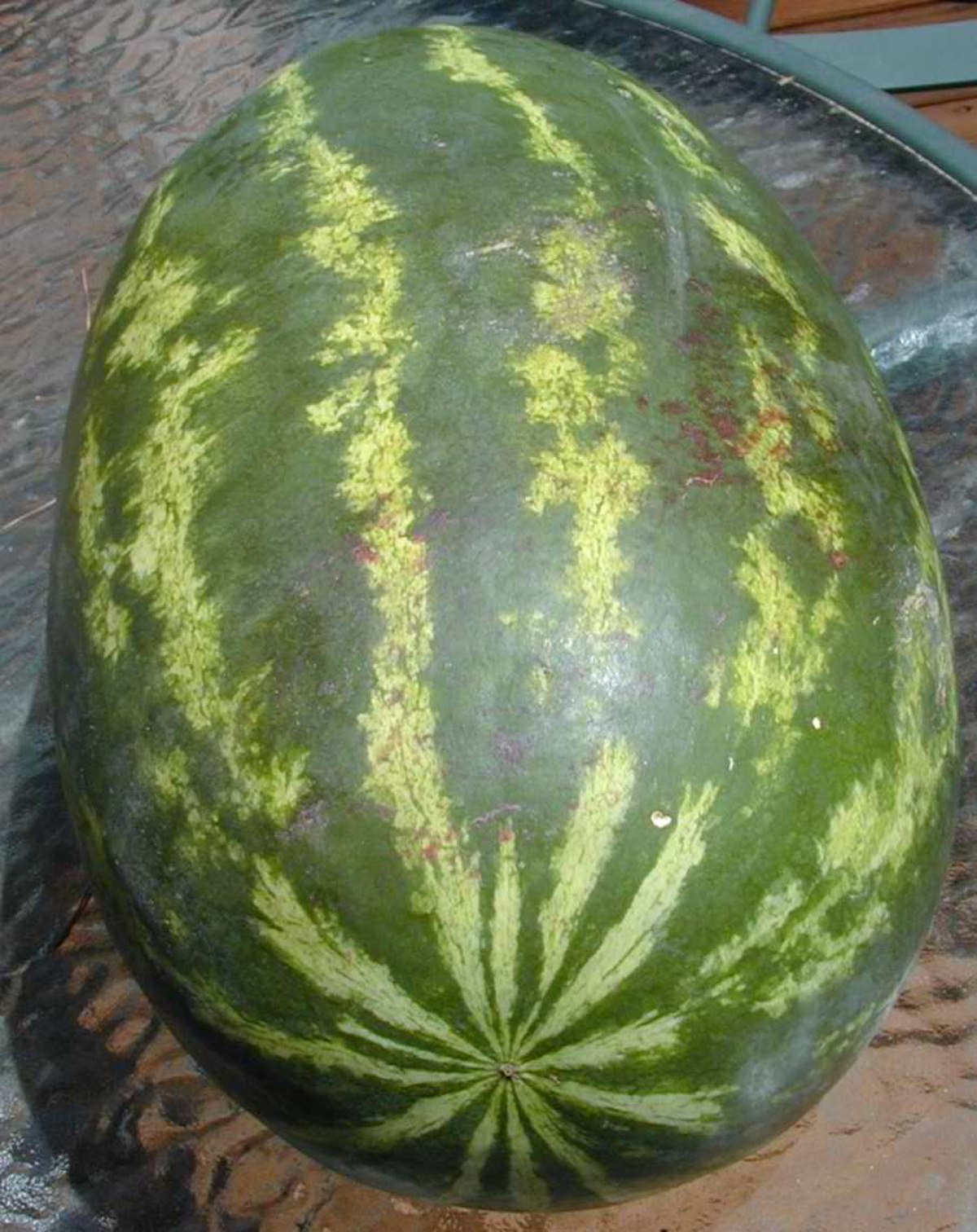 Pastèque