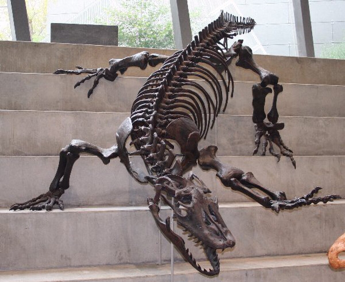 Megalania prisca