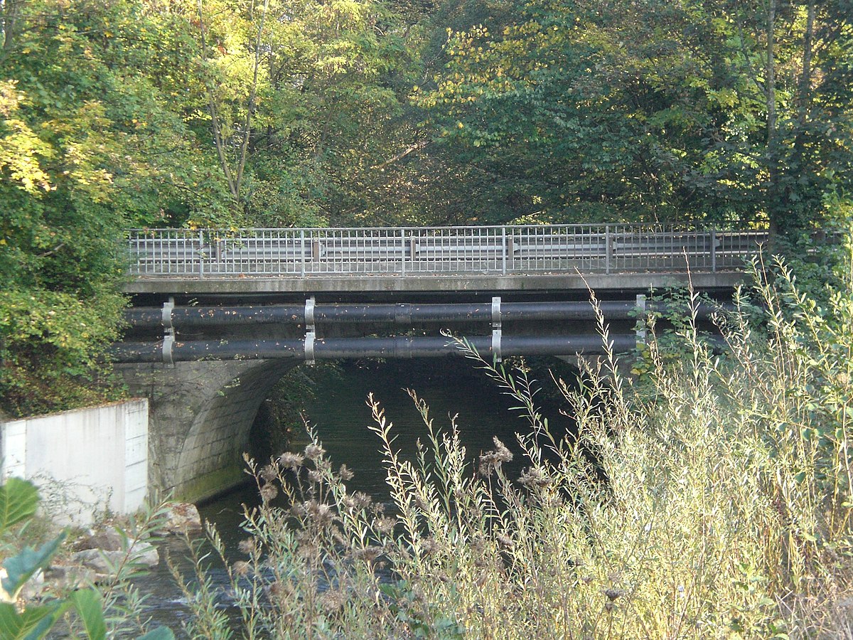 Versoix Route Suisse.jpg