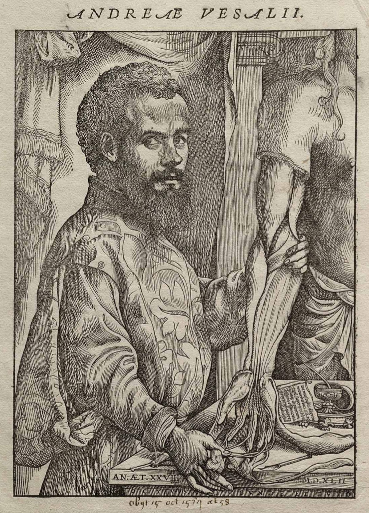 André Vésale