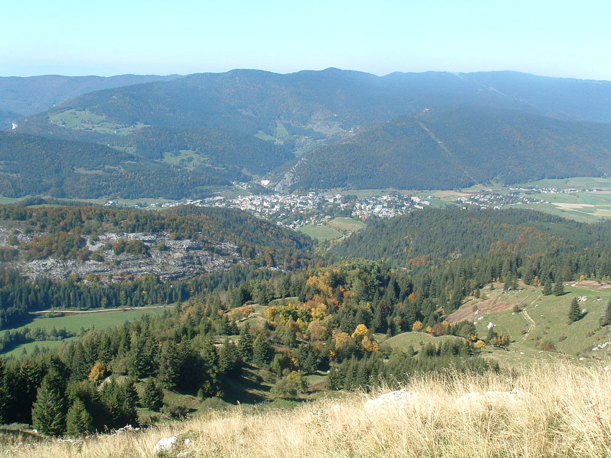 Villard-de-Lans (race bovine)