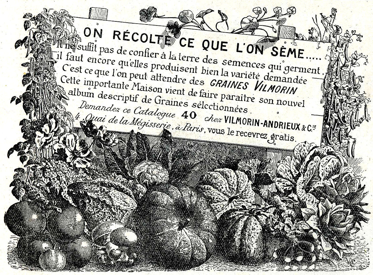 Vilmorin (compagnie)
