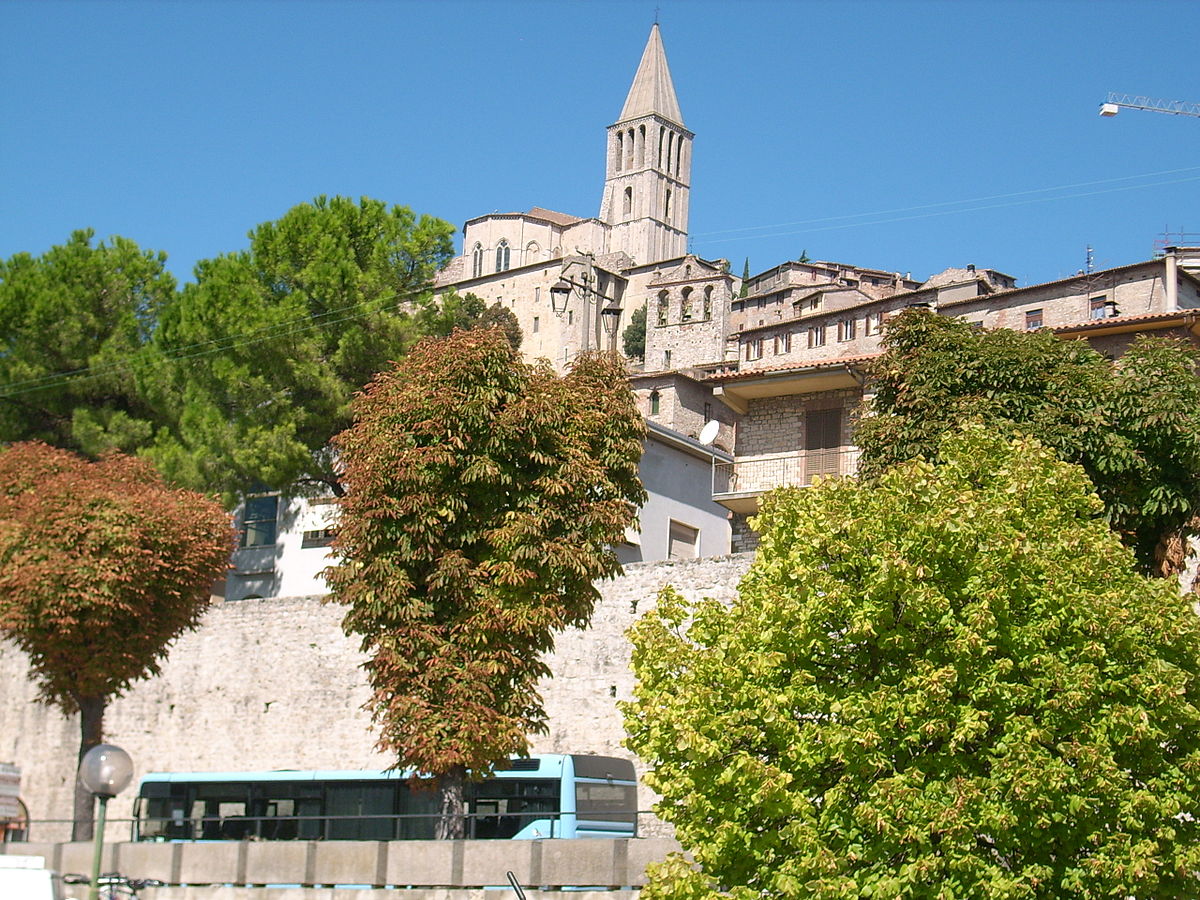 Todi