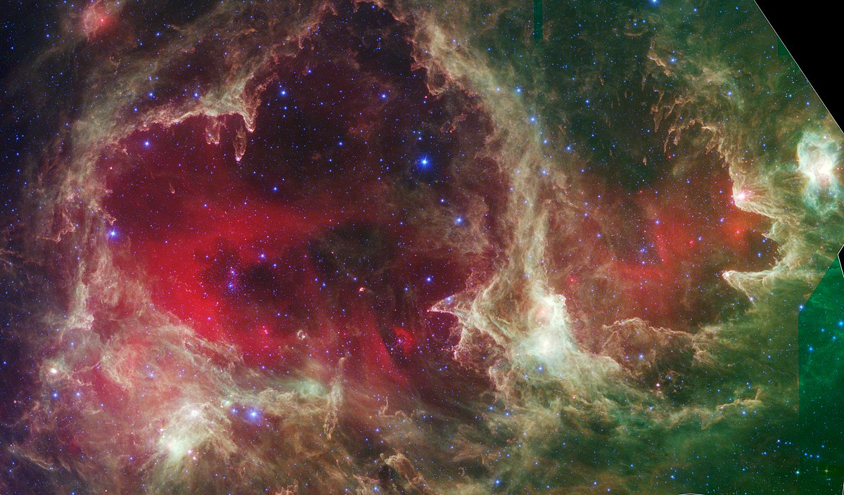 W5 cropped.jpg