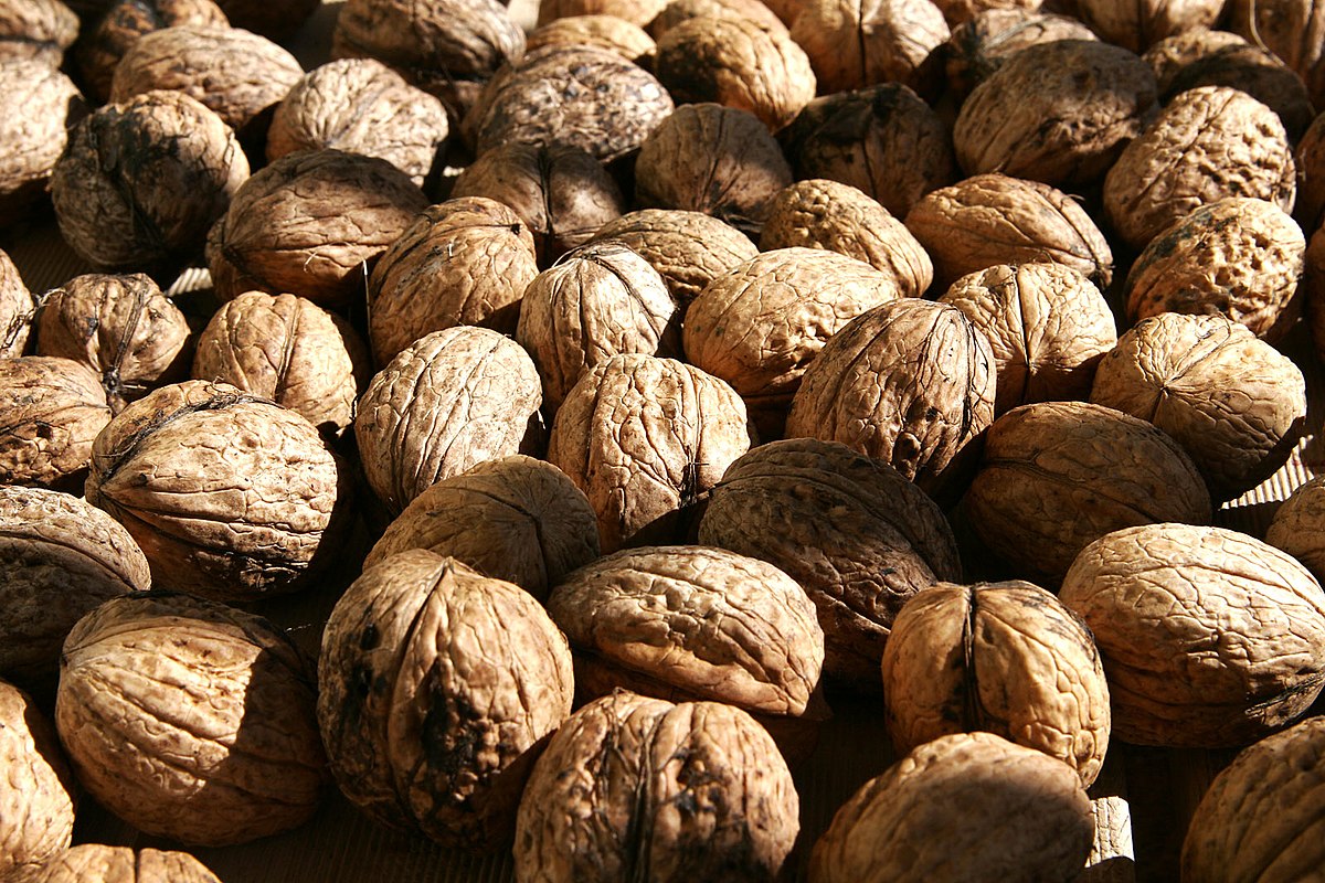 Fruit à coque