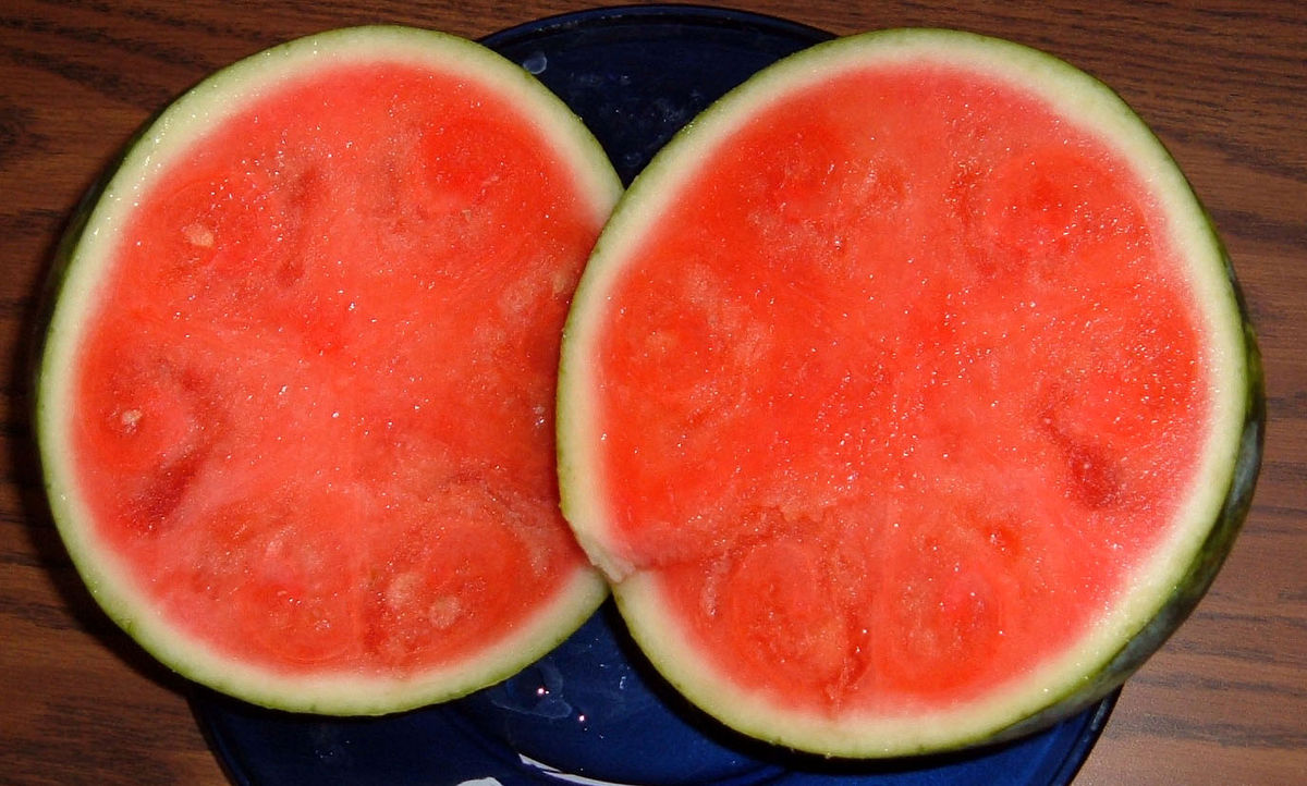 Variété sans pépin