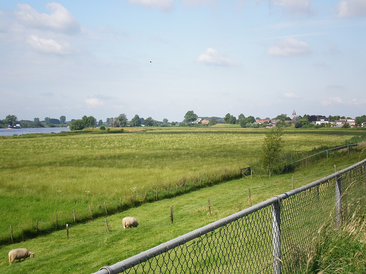 Bommelerwaard
