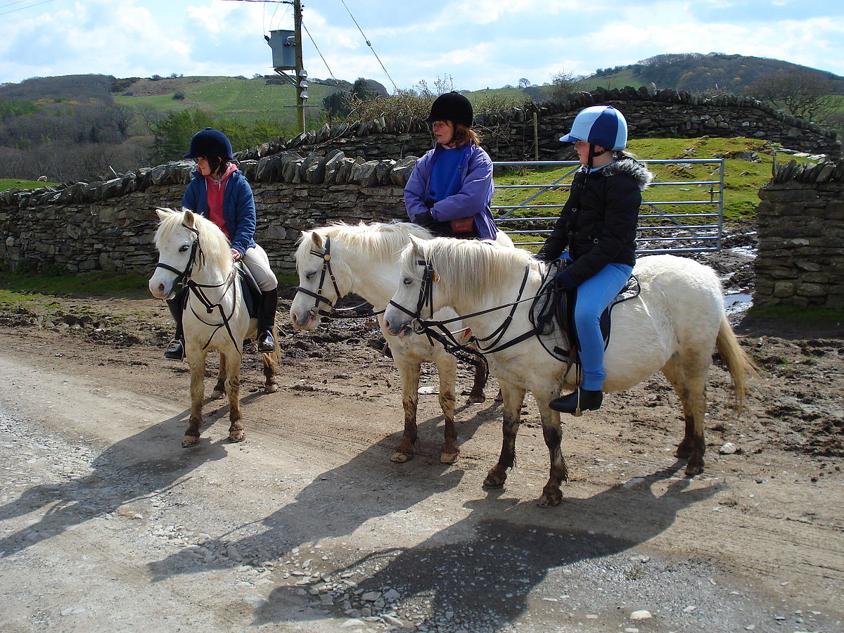 Welsh (cheval)