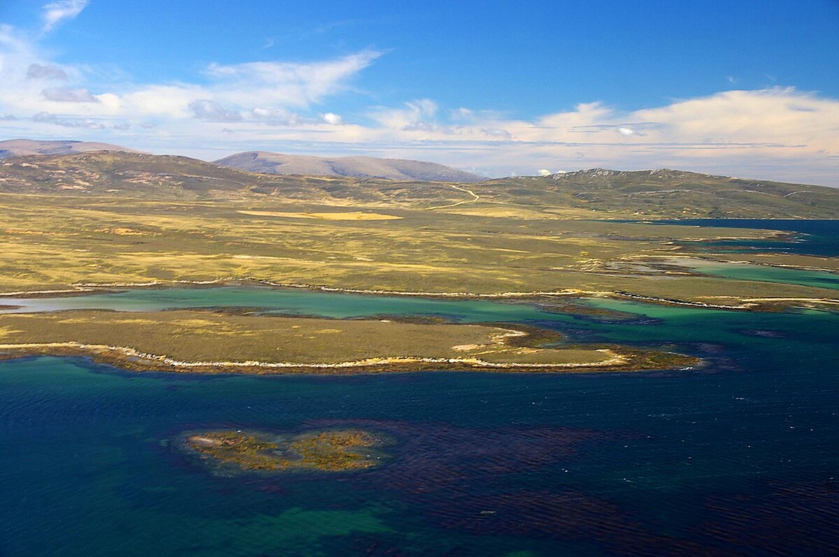 Falkland occidentale