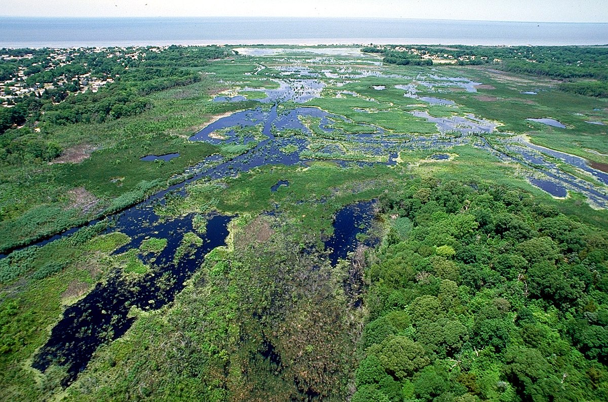 Écologie du paysage