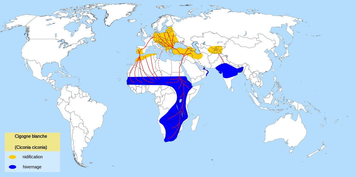 White Stork migration map-fr.svg