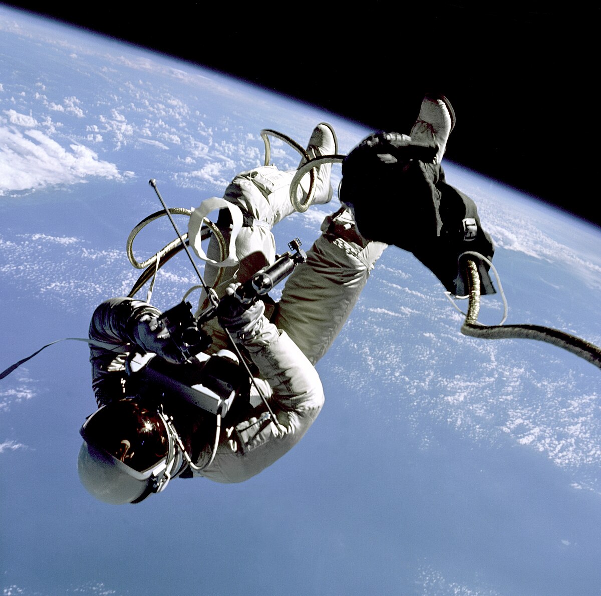 1965 en science