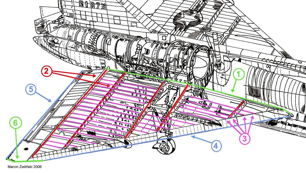 Wing structure.jpg
