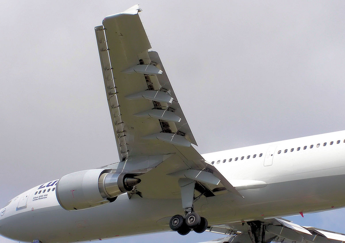 Voilure (aéronautique)