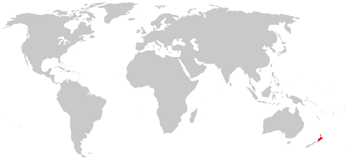 Rhynchocéphales (Nord de la Nouvelle-Zélande)