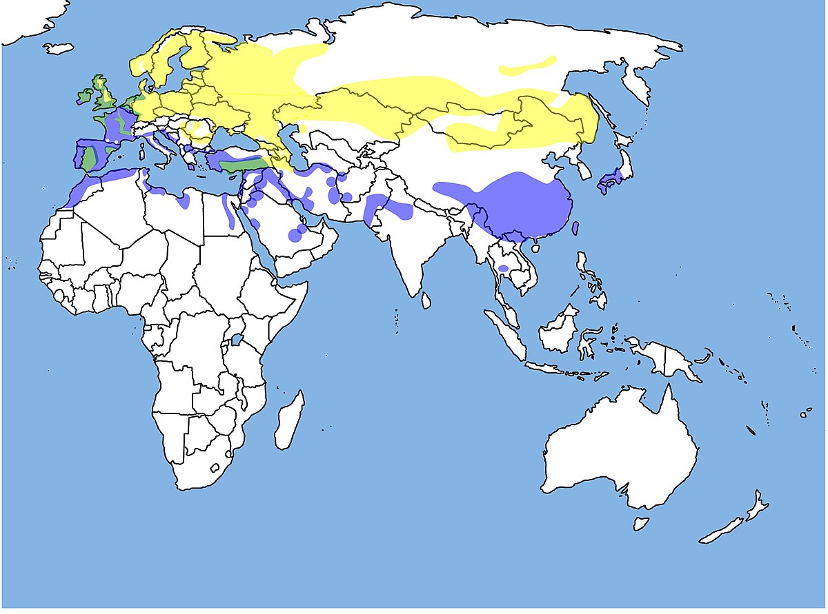 WorldDistributionNorthernLapwing.jpg