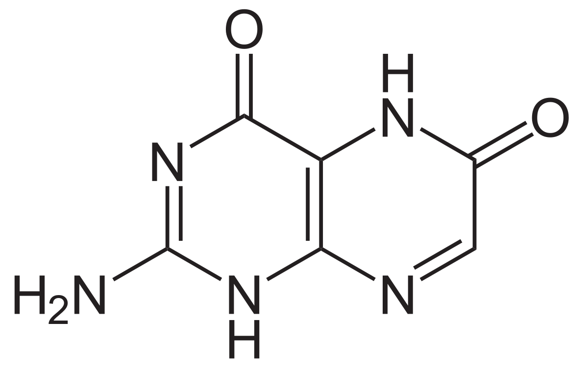 Xanthoptérine