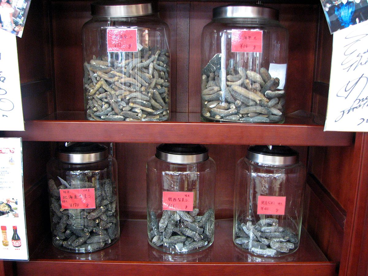 Yokohama Chinese Medicine Sea cucumber 2.jpg