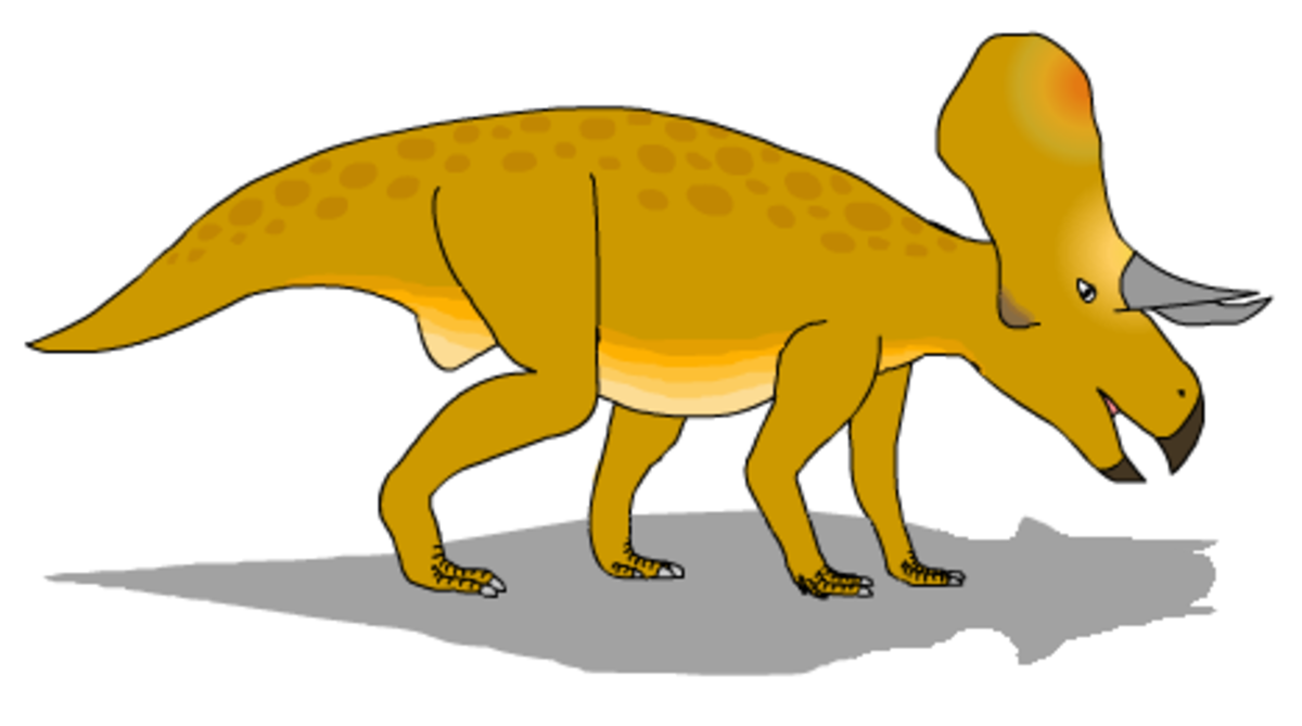 Liste d'espèces de reptiles décrites entre 1996 et 2000